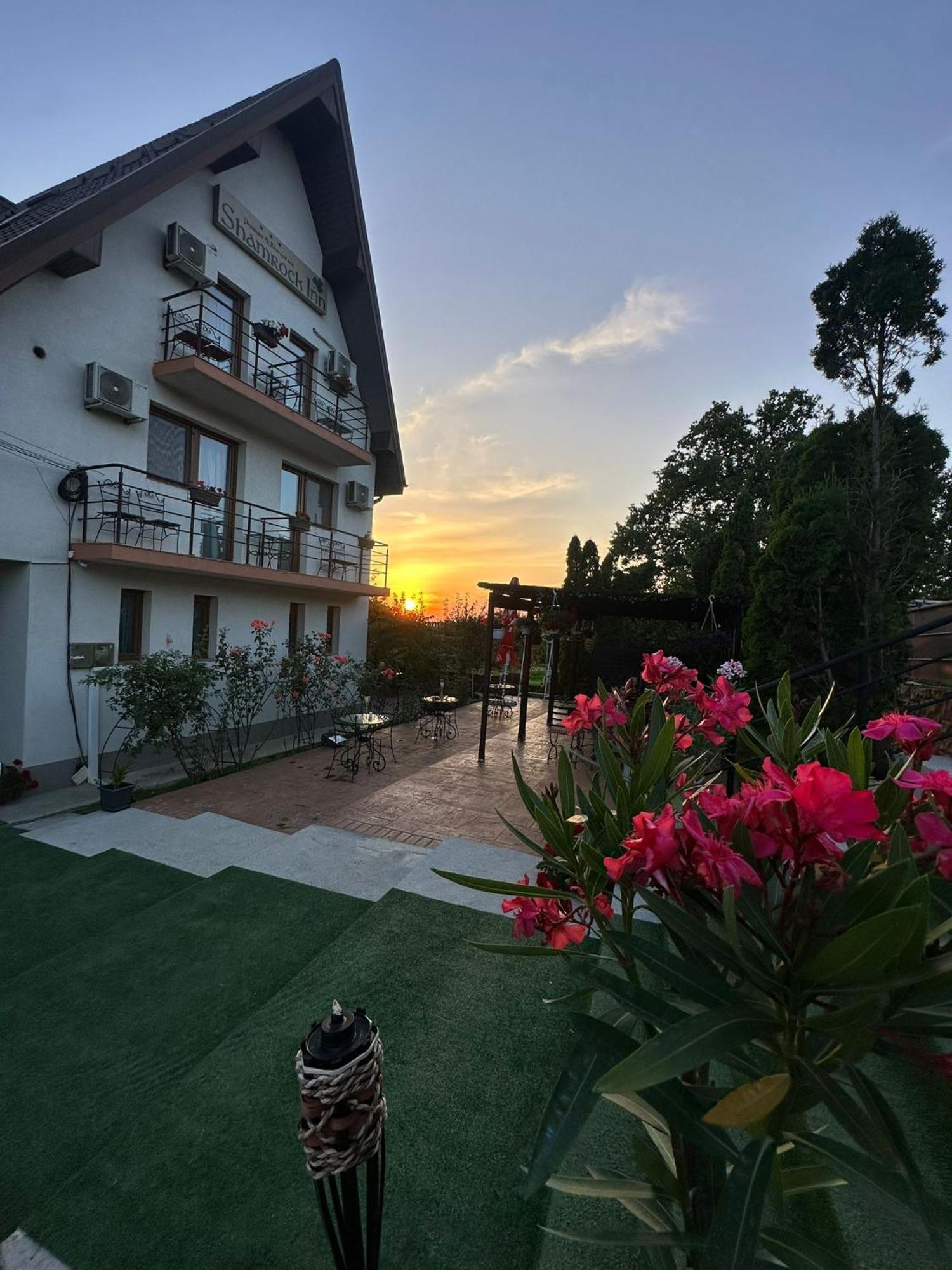 Shamrock Inn Ιάσιο Εξωτερικό φωτογραφία