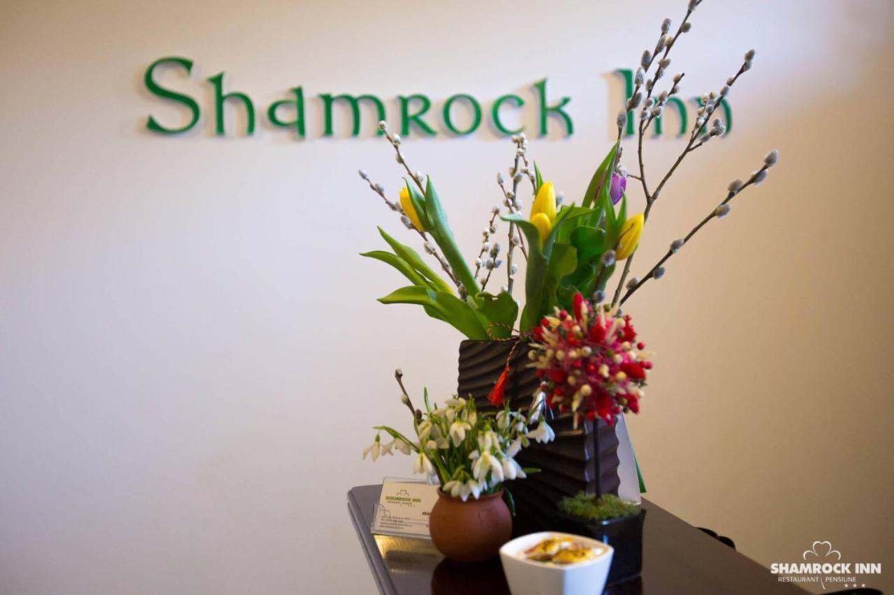 Shamrock Inn Ιάσιο Εξωτερικό φωτογραφία